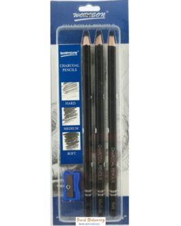 Worison Artist Charcoal Pencils Set – 3 Pieces Soft Medium
